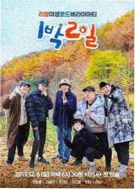 新视觉6080 综艺 向往的生活
