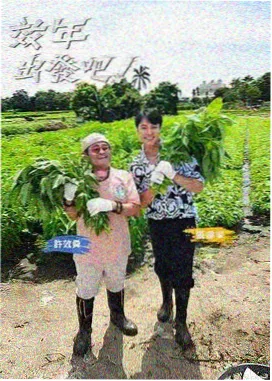 新视觉6080 综艺 王牌对王牌